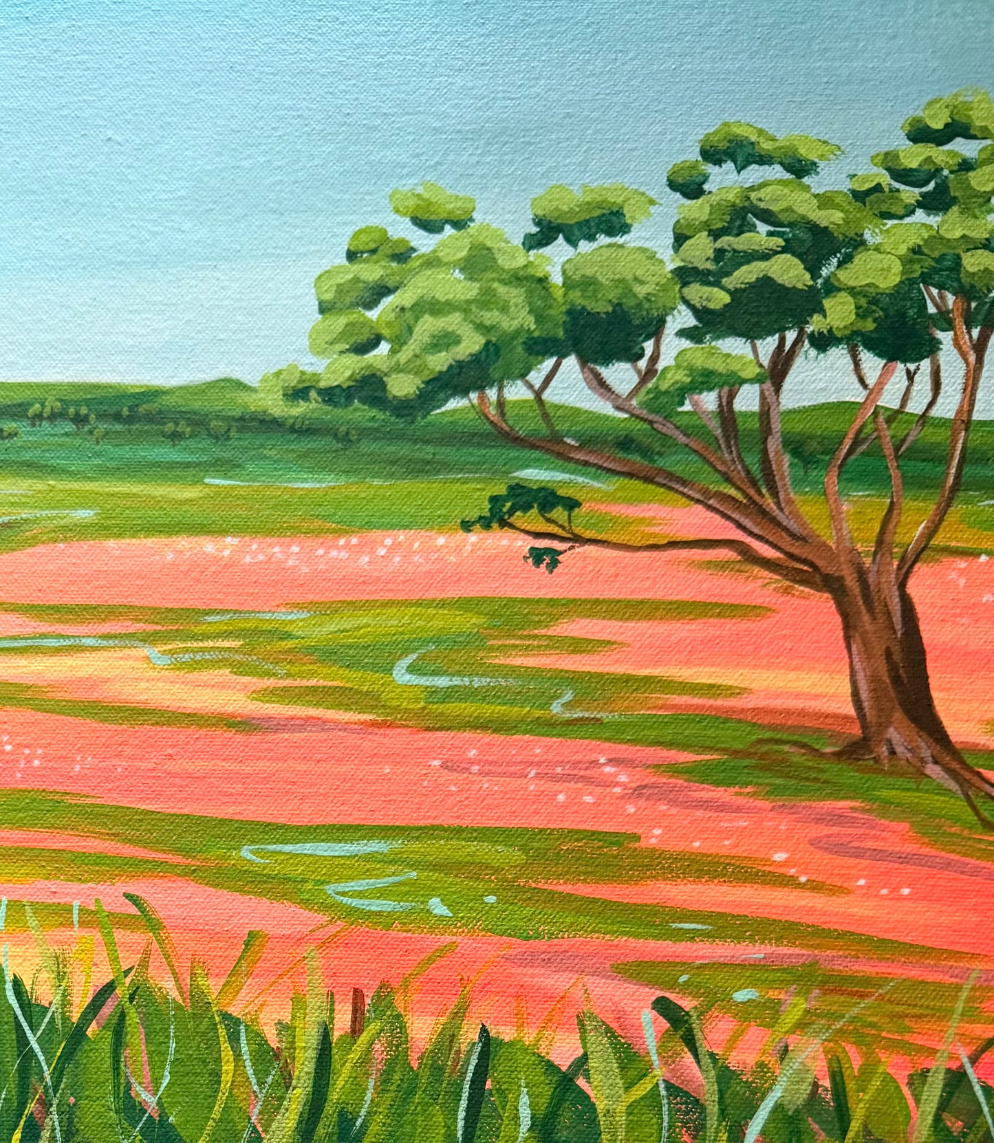 Where the Wildflowers Wait