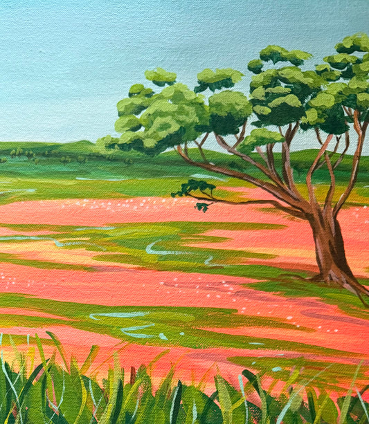 Where the Wildflowers Wait